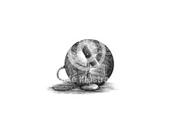 microphone to the world